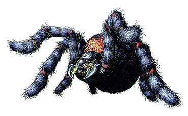 blacktiger art