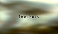 bh4incubate