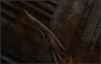 16 Un estorbo menos SW.mp4