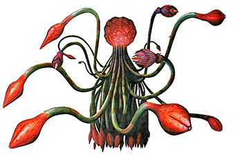 plant42 art